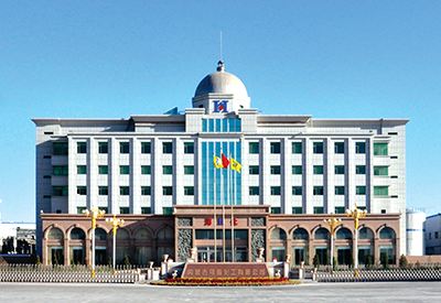 內蒙古烏?；び邢薰韭葔A項目